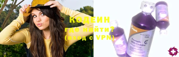 2c-b Бородино