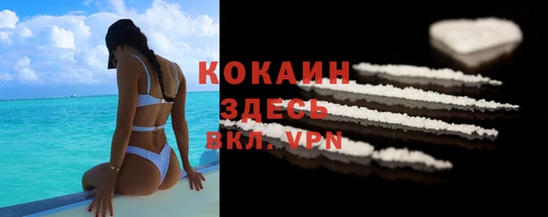 шишки Бронницы