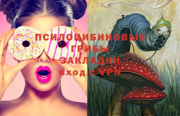 МДПВ Бугульма